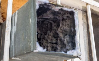 Why Air Duct Cleaning Matters